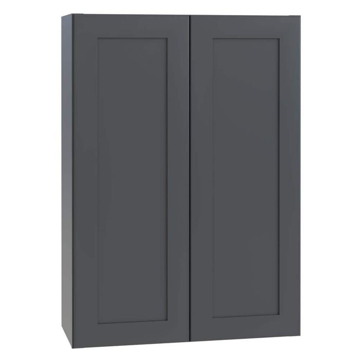 Home Decorators Collection Newport 24 in. W x 12 in. D x 42 in. H Assembled Plywood Wall Kitchen Cabinet in Deep Onyx with Soft Close