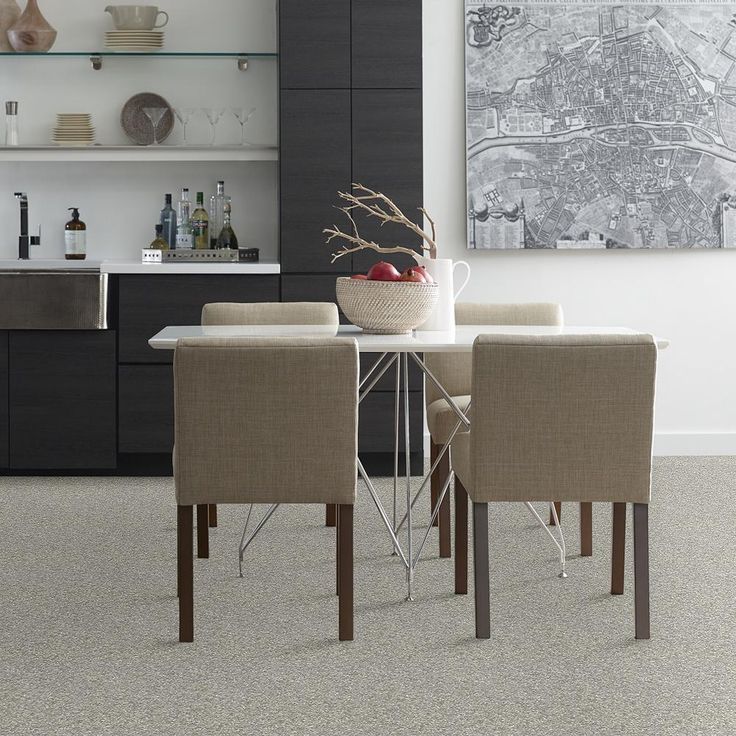 STAINMASTER PetProtect Baxter I Trixie Textured Carpet (Indoor)