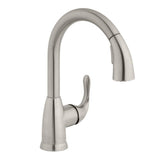 Dylan Single-Handle Pull-Down Kitchen Faucet with TurboSpray and FastMount in Stainless Steel - Super Arbor