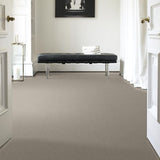 STAINMASTER PetProtect Baxter II Harley Textured Carpet (Indoor)
