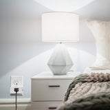 Smart Plug Indoor Wi-Fi 3-Prong Single Outlet Plug Alexa/Asst Compatible, Remote Access, Multi Control and Schedule - Super Arbor