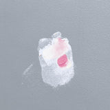 DAP DryDex 8 oz. Wall Repair Patch Kit (2-Pack)