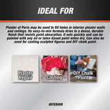 DAP 4 lbs. Plaster of Paris