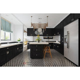 LIFEART CABINETRY Newport Ready to Assemble 21x34.5x24 in. Base Cabinet with 1-Door and 1-Drawer in Dark Espresso