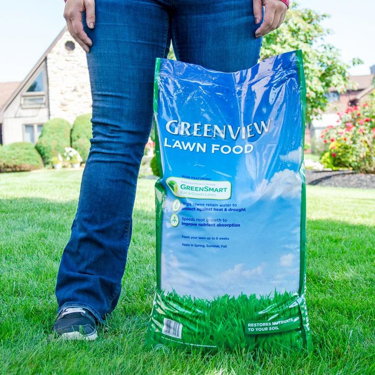 GreenView 48 lbs. Lawn Food