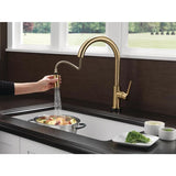 Delta Trinsic Touch2O Champagne Bronze 1-Handle Deck-Mount Pull-Down Touch Kitchen Faucet