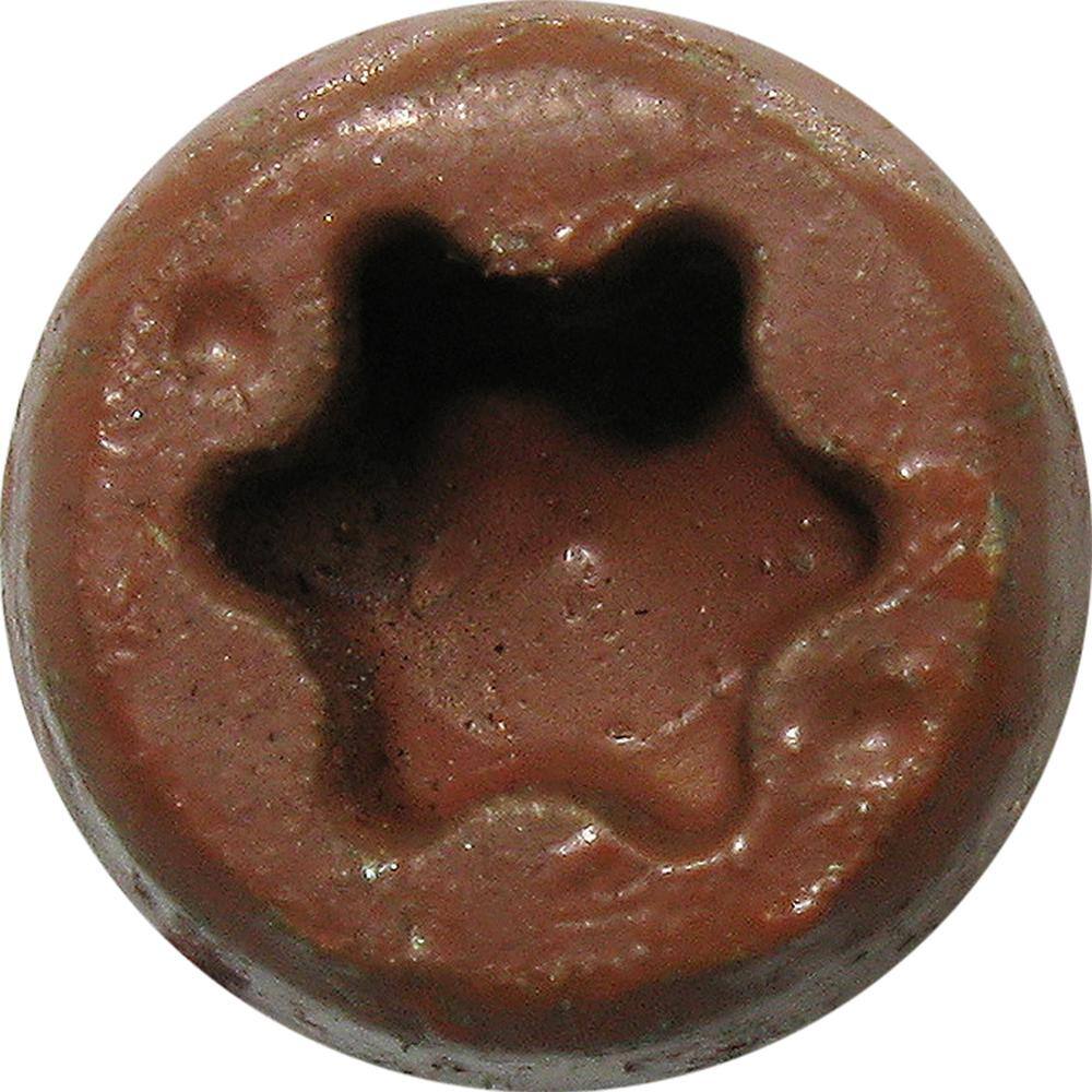 DECKMATE #9 x 2-1/2 in. Self-Starting Star-Drive Bugle Head Red Composite Deck Screws 1 lbs. box(73 pcs)