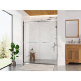 DEERVALLEY 60 in. W x 76 in. H Double Sliding Framed Shower Door in Silver with 3/8 in. (10 mm) Clear Glass