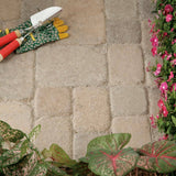 Pavestone 8.27 in. L x 5.51 in. W x 2.36 in. H Desert Blend Concrete Paver Plaza Tumbled (300-Pieces/100 sq. ft./Pallet)
