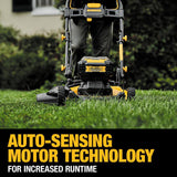 DeWalt 20V MAX DCMWP233U2 21.5 in. Cordless Push Lawn Mower Kit with (2) 10Ah Batteries & Charger