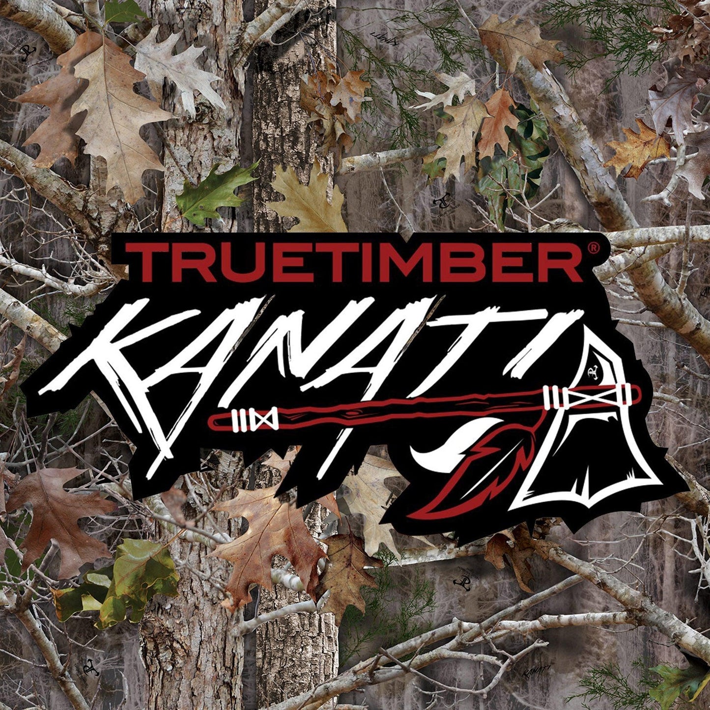 df271fca-b35e-4d01-9bb4-57f3b2adb941_1.ce0bc943394b054834fe9db9aa32062a_763321752.jpeg