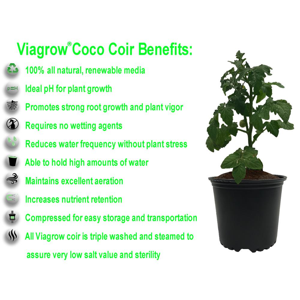 Viagrow 1.4 lbs. Premium Soilless Coconut Coir Brick Grow Media (12-Pack) - Super Arbor