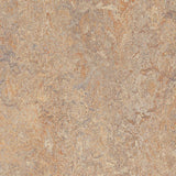 Marmoleum Cinch Loc Seal Donkey Island 9.8 mm x 11.81 in. X 35.43 in. Waterproof Laminate Floor Tile (20.34 sq. ft/Case)