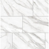 Avante Bianco Marble 12 in. x 24 in. Porcelain Floor and Wall Tile (425.6 sq. ft./pallet) - Super Arbor