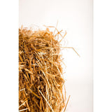 Baled Wheat Straw - Super Arbor