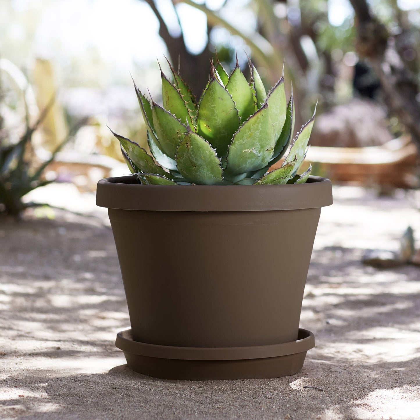 Bloem Terra Pot Planter 16" Chocolate