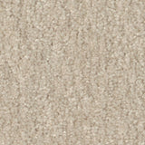 STAINMASTER Essentials Blue Diamonds II 12-ft Bleached Textured Carpet (Indoor)