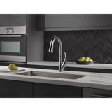 Esque Single-Handle Pull-Down Sprayer Kitchen Faucet with ShieldSpray Technology in Arctic Stainless - Super Arbor