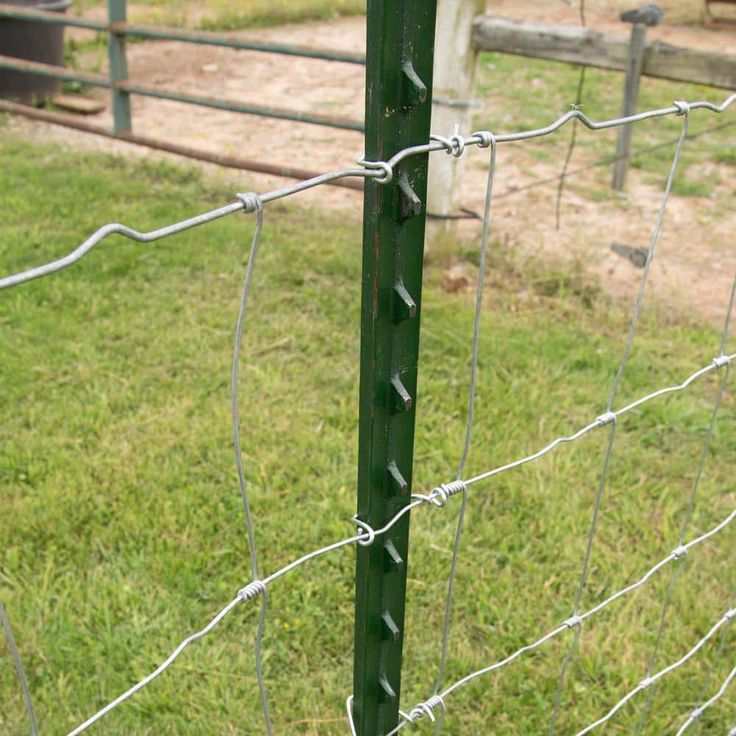Everbilt 1-3/4 in. x 3-1/2 in. x 8 ft. Green Steel Fence T-Post with Anchor Plate