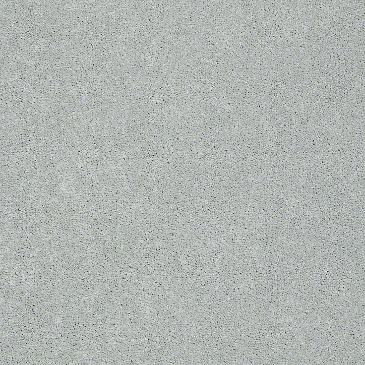 STAINMASTER PetProtect Baxter III Rex Textured Carpet (Indoor)