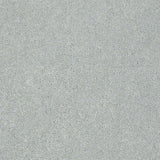 STAINMASTER PetProtect Baxter III Rex Textured Carpet (Indoor)