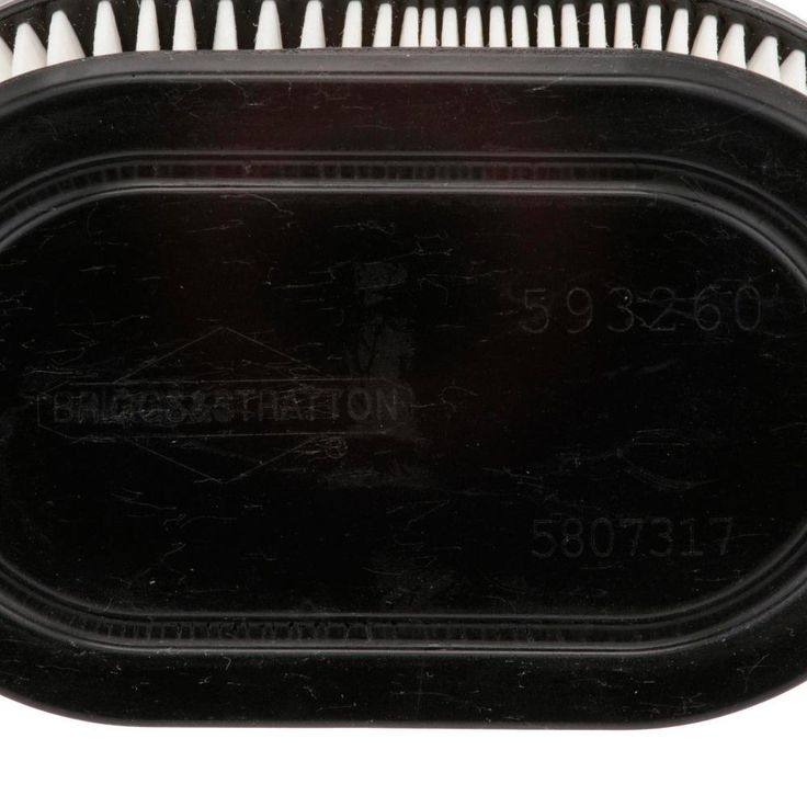 Briggs & Stratton Air Filter
