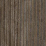 Shaw One Up 24-in x 24-in Newsfeed Multi-level Loop Full Spread Adhesive Carpet Tile (79.99-sq ft)