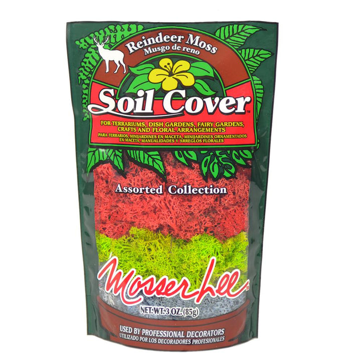 Mosser Lee 3 oz. Reindeer Moss Assorted Collection - Super Arbor