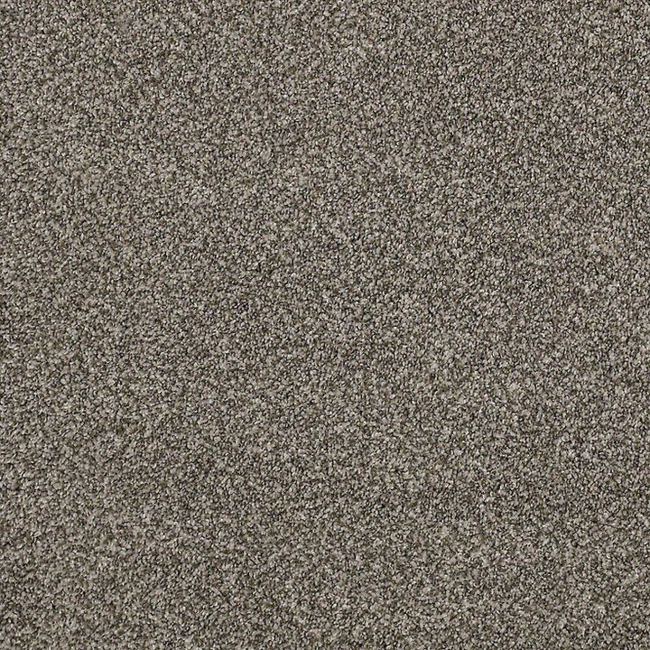 STAINMASTER PetProtect Mineral Bay II 12-ft Pelican Textured Carpet Sample (Interior)