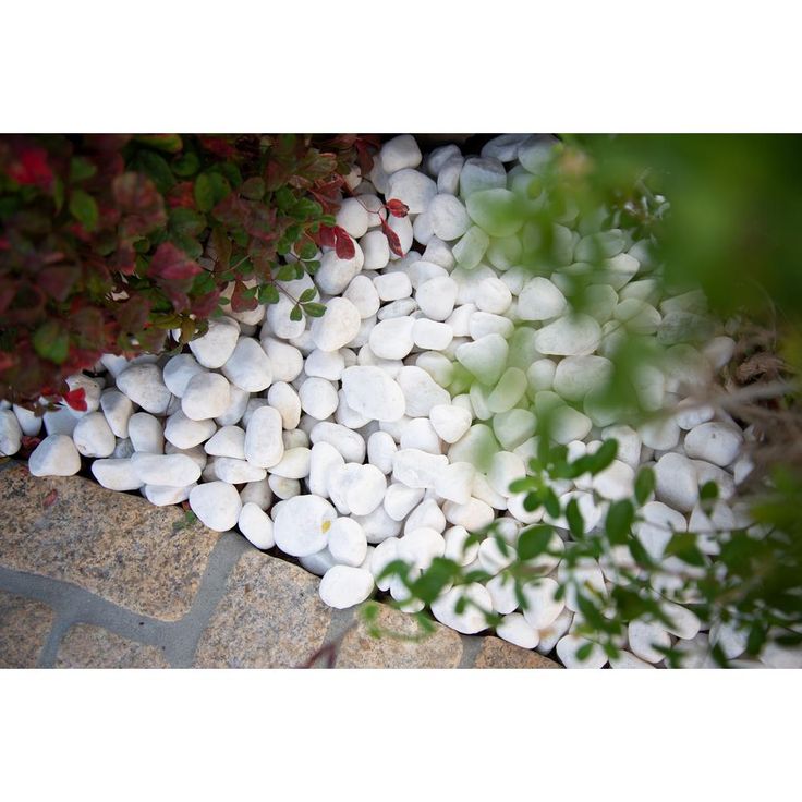 MSI Himalaya White 0.5 cu. ft . 1 to 2 in. Pebbles. 40 lbs. Bag (55 Bags/Pallet)