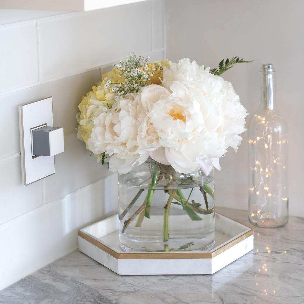 adorne 15 Amp 125-Volt Tamper Resistant 1-Gang Pop-Out Outlet, White - Super Arbor