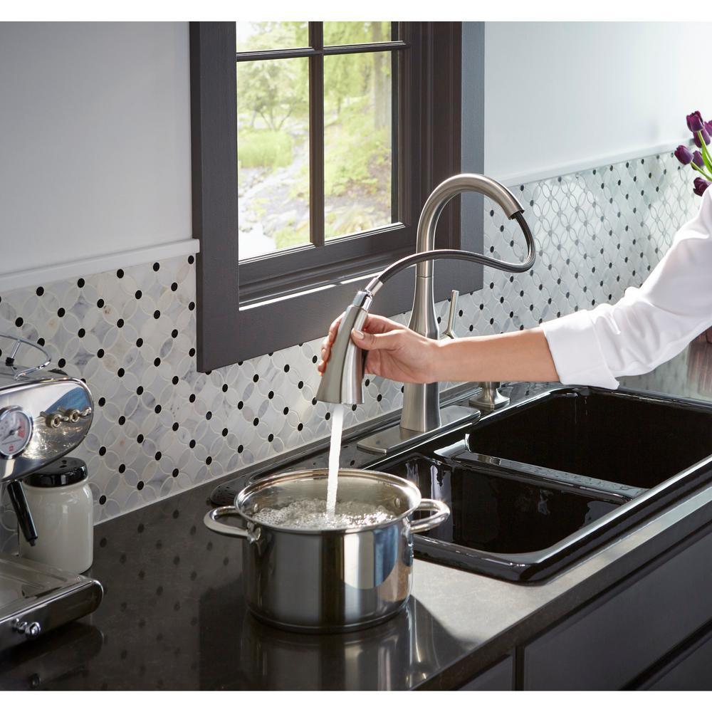 Rubicon Single-Handle Pull-Down Sprayer Kitchen Faucet in Vibrant Stainless - Super Arbor