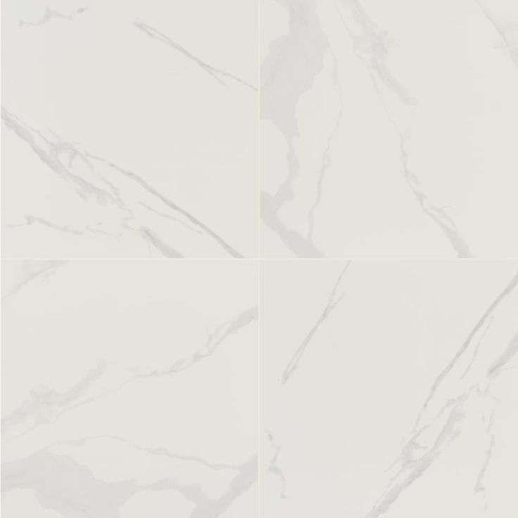 MSI Eden Statuary 24 in. x 24 in. Matte Porcelain Floor and Wall Tile (5 cases / 128 sq. ft. / pallet)
