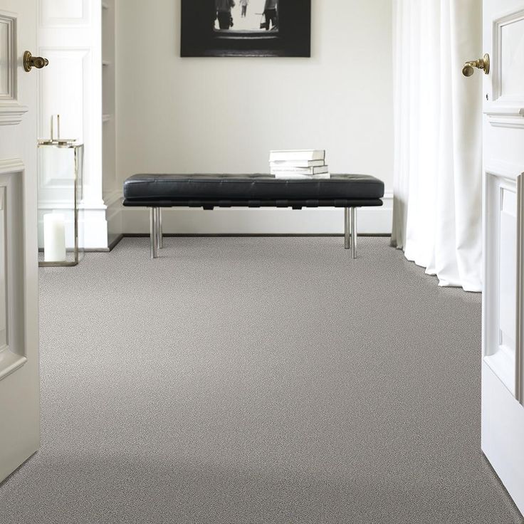 STAINMASTER PetProtect Baxter II Gizmo Textured Carpet (Indoor)