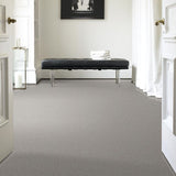 STAINMASTER PetProtect Baxter II Gizmo Textured Carpet (Indoor)