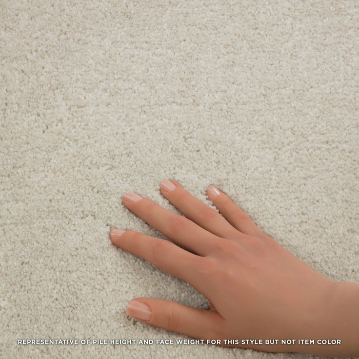 STAINMASTER Essentials Blue Diamonds III 12-ft Raw Lumber Textured Carpet (Indoor)