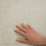 STAINMASTER Essentials Blue Diamonds III 15-ft Tree Bark Textured Carpet (Indoor)