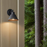 Hampton Bay 9.5 in. 1-Light Zinc Barn Outdoor Wall Light Sconce Lantern
