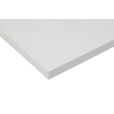 43 in. W x 22 in. D x 0.75 in. H Quartz Vanity Top in Carrara White with White Basin - Super Arbor