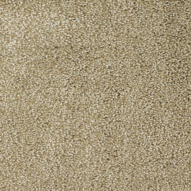 STAINMASTER Signature Shafer Valley Weathered Textured Carpet Sample (Interior)