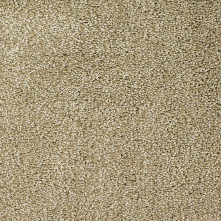 STAINMASTER Signature Shafer Valley Weathered Textured Carpet Sample (Interior)