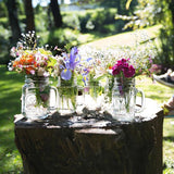 County Fair 12-Piece Clear Glass Drinking Jar Set
