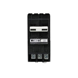 Eaton BR 50 Amp 120-Volt/240-Volt 2 in 2-Pole GFCI Circuit Breaker Pigtail Neutral