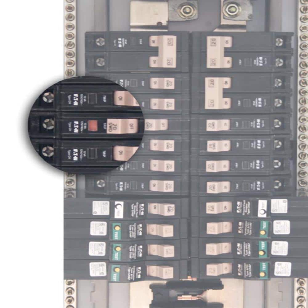 Eaton CH 30 Amp 240 Volts 2-Pole Circuit Breaker with Trip Flag
