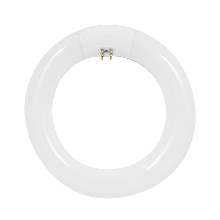 120-Watt Equivalent Circline T9 Non-Dimmable 4-Pin Base Compact Fluorescent CFL 9 in Light Bulb, Cool White 4100K - Super Arbor