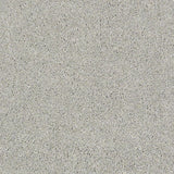 STAINMASTER PetProtect Baxter I Gizmo Textured Carpet (Indoor)