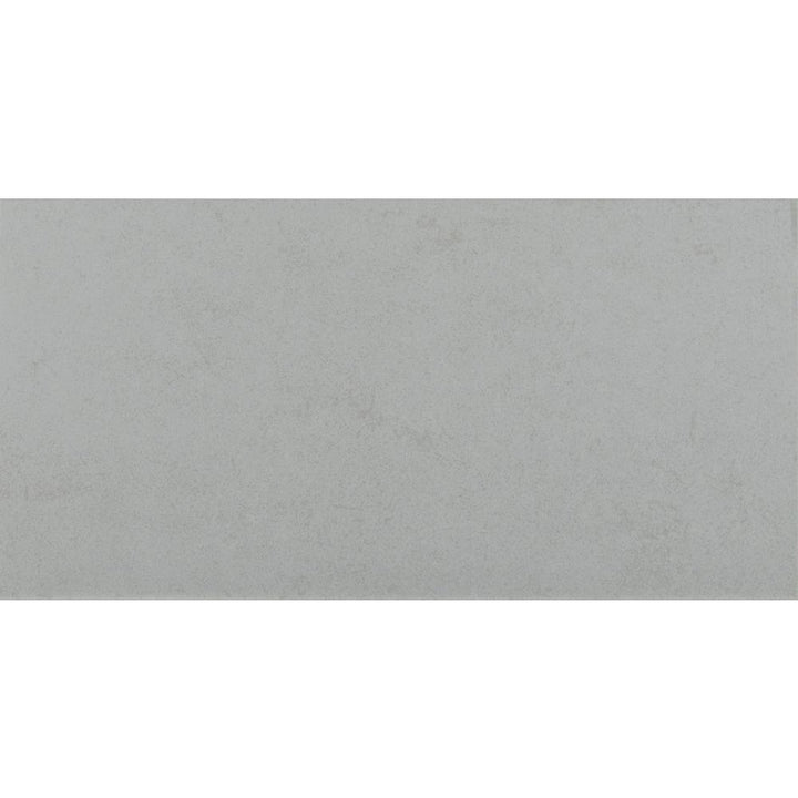 Beton Glacier 12 in. x 24 in. Matte Porcelain Floor and Wall Tile (16 sq. ft. / case) - Super Arbor