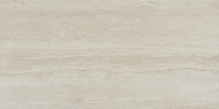 Emser Esplanade 2-Pack Trail 18-in x 36-in Glazed Porcelain Stone-Look Floor and Wall Tile