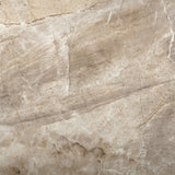 Emser Eurasia Cafe 6-in x 6-in Porcelain Tile Sample