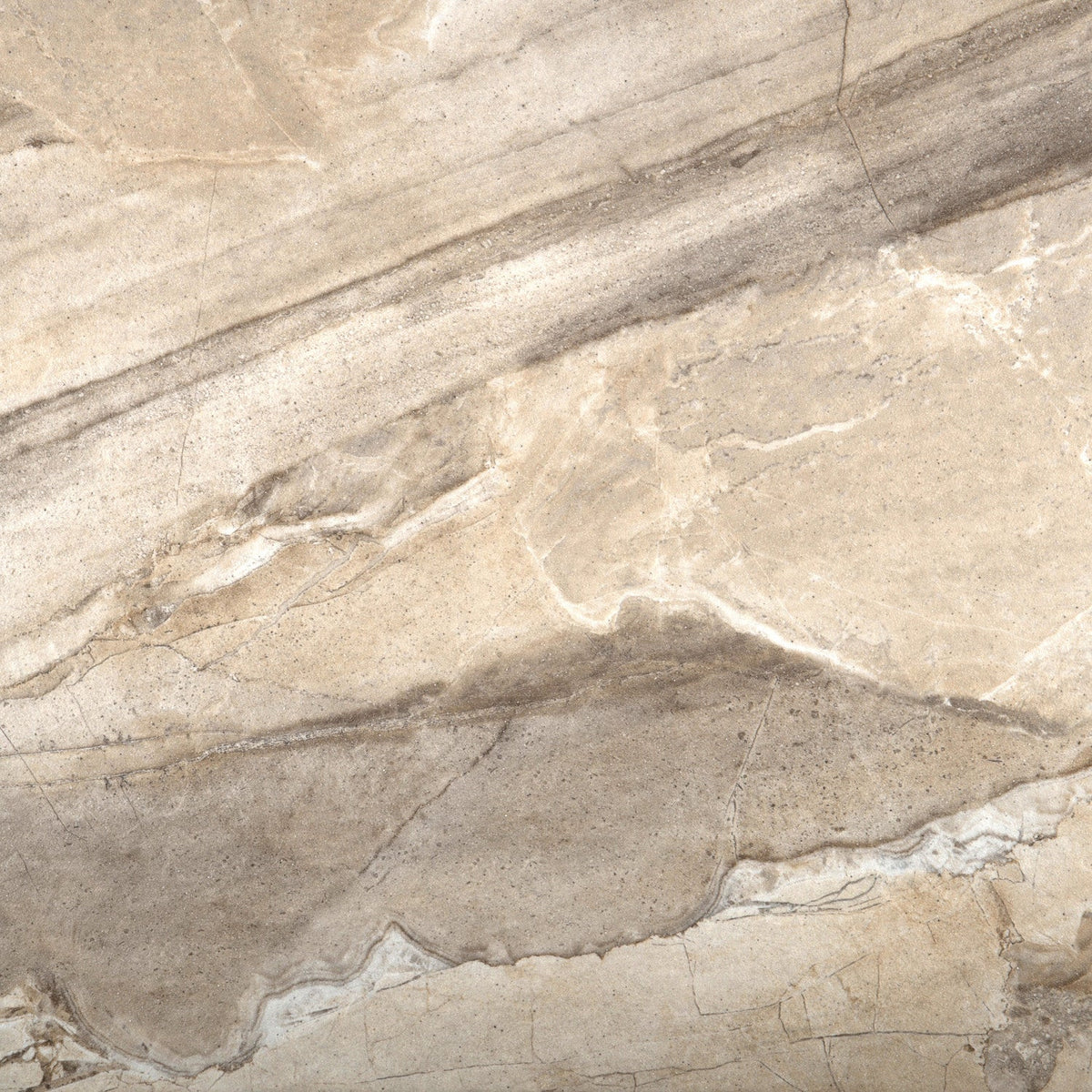 Emser EURASIA Cafe Porcelain Border Tile (13-in x 13-in)